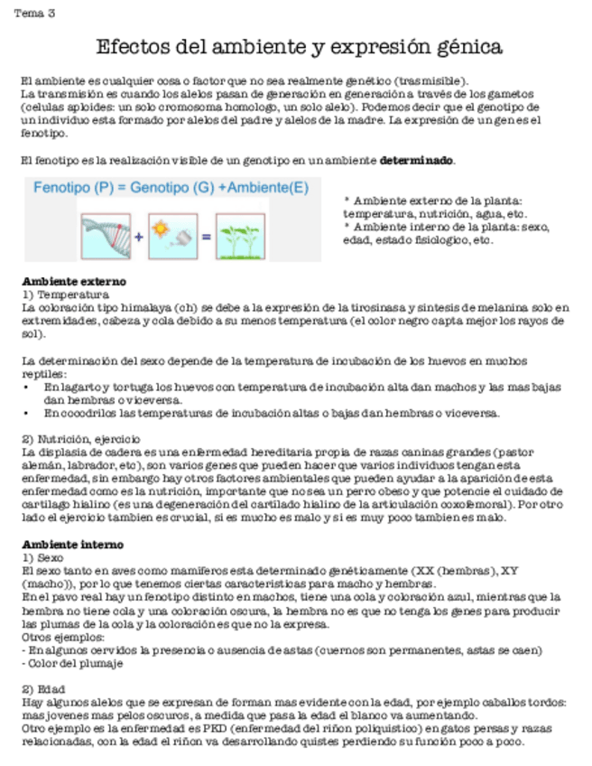 Miniatura del documento Tema-3-Efectos-del-ambiente-y-expresion-genica.pdf
