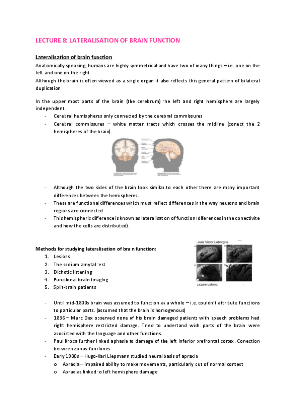 Miniatura del documento Lecture-8-Lateralisation-of-brain-function.pdf