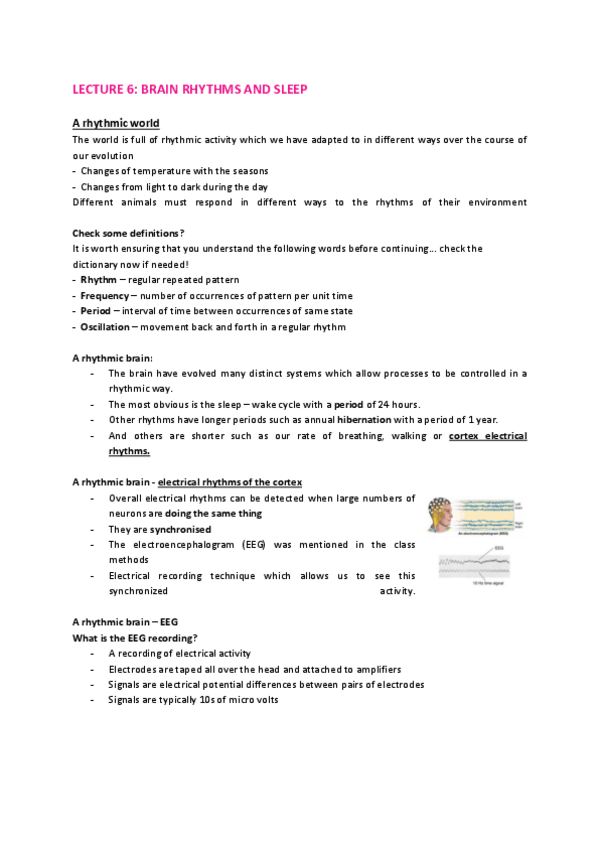 Miniatura del documento Lecture-6-Brain-Rythms-and-sleep.pdf