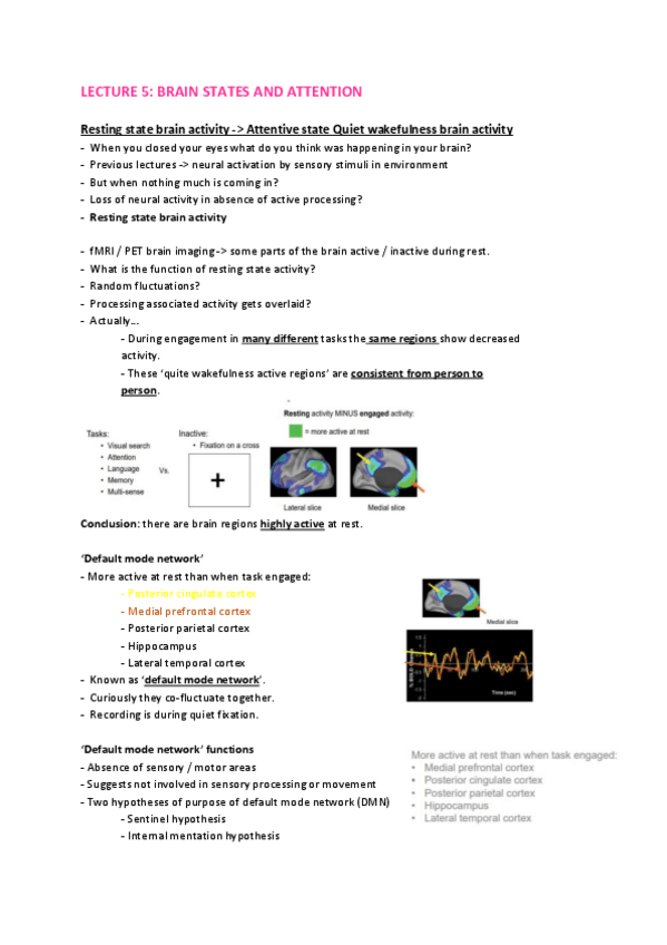 Miniatura del documento Lecture-5-Brain-states-and-attention.pdf