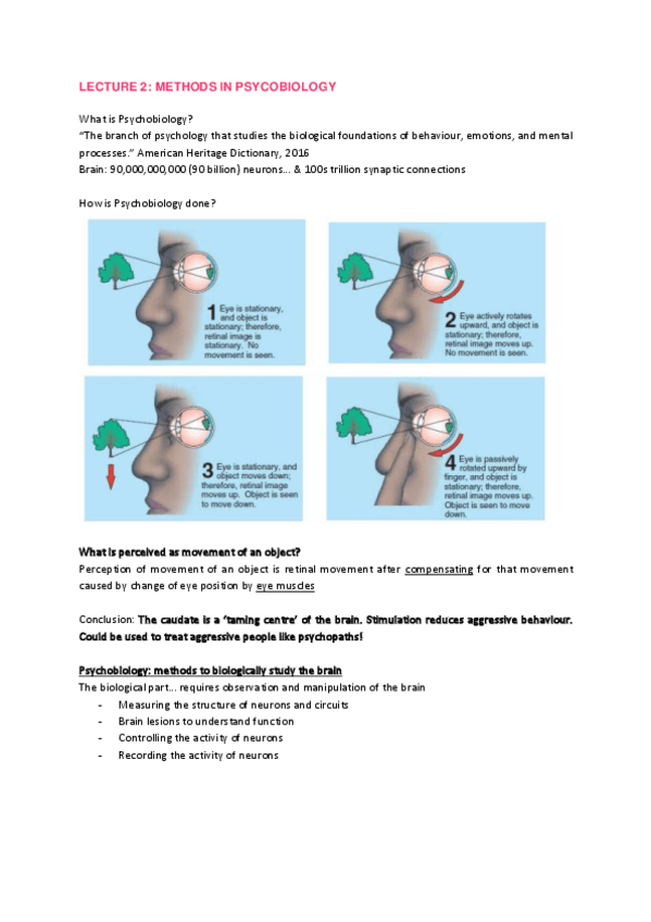 Miniatura del documento Lecture-2-Methods-to-study-the-brain.pdf