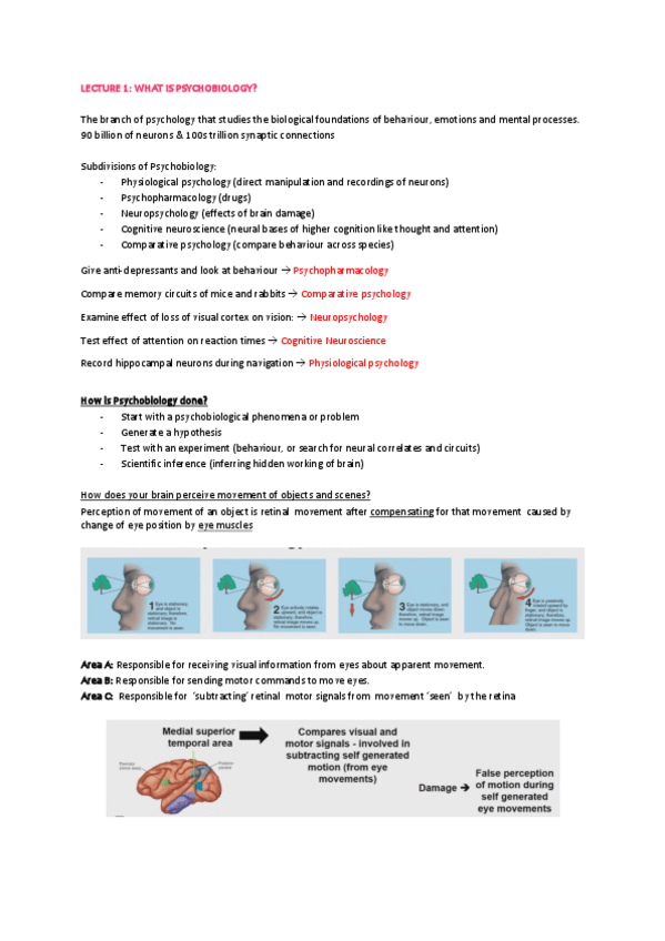 Miniatura del documento Lecture-1-What-is-psychobiology.pdf