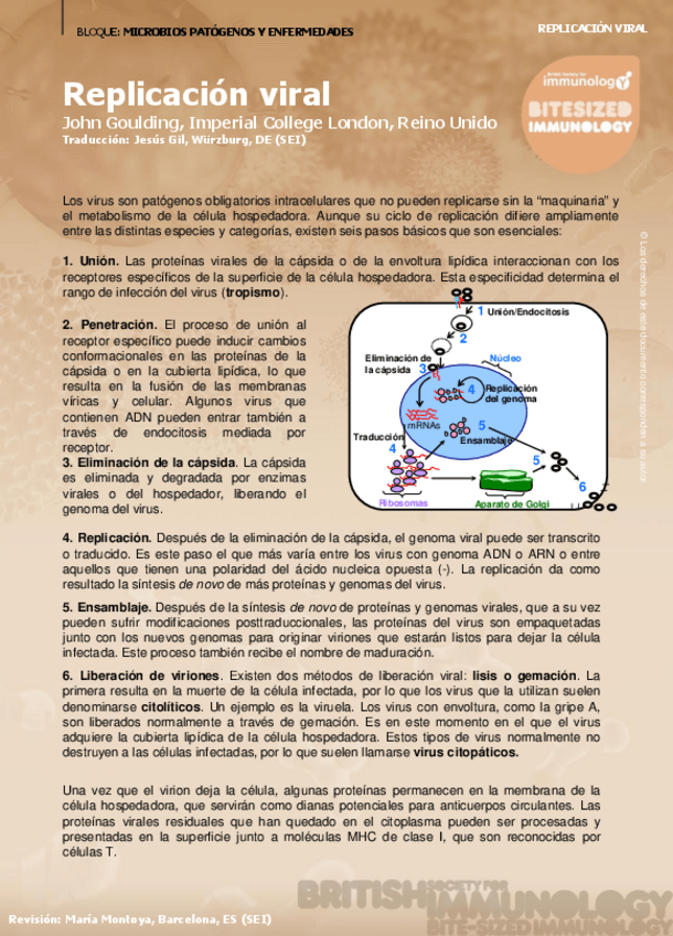 Miniatura del documento inmunizaciones-1213653891209989-8.pdf