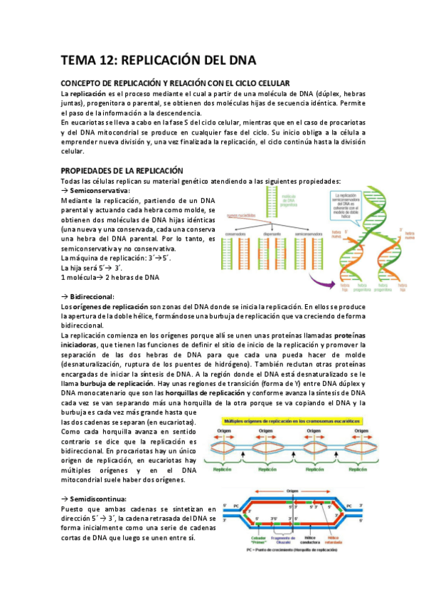 Miniatura del documento TEMA-12.pdf