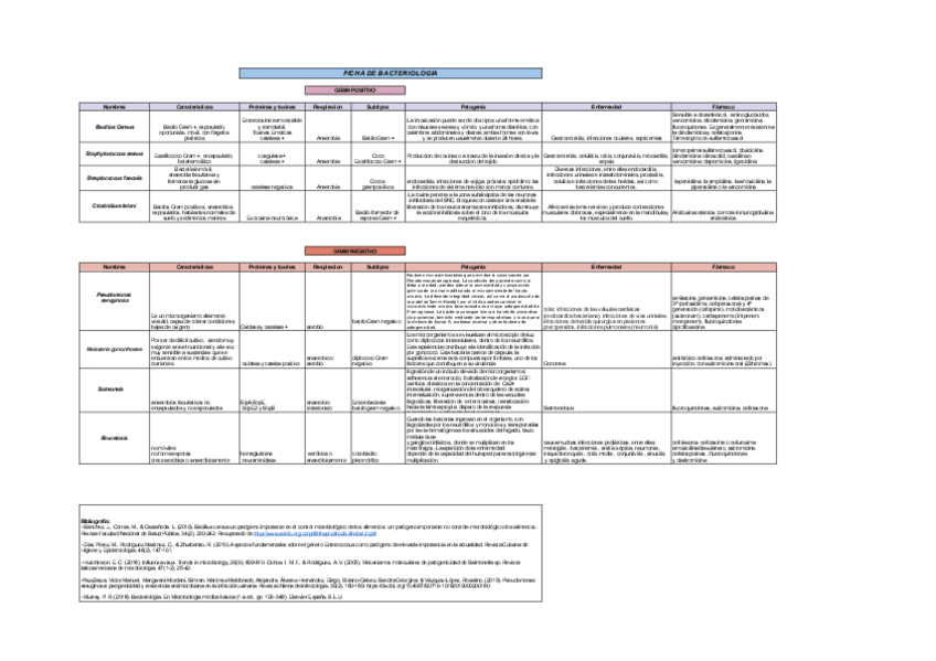 Miniatura del documento FICHA-DE-BACTERIOLOGIA.pdf