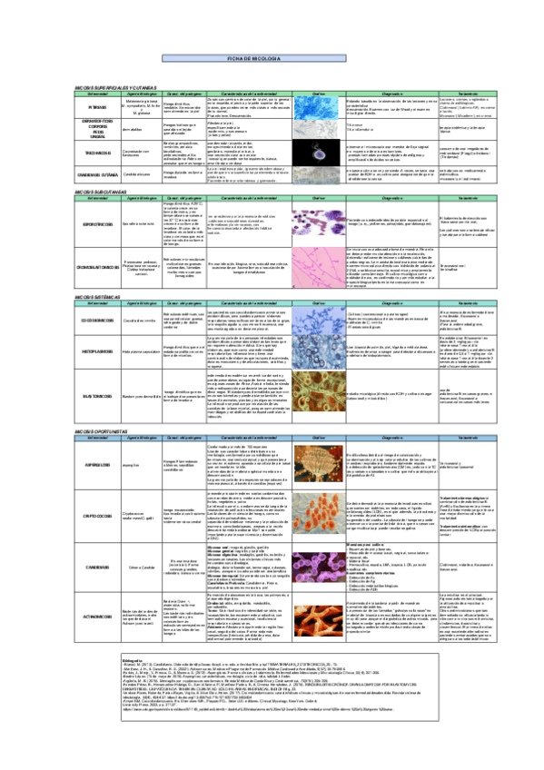 Miniatura del documento FICHA-DE-MICOLOGIA.pdf