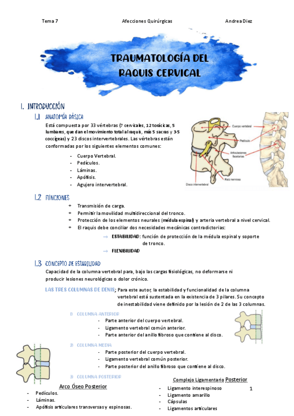 Miniatura del documento Tema-7-Traumatologia-del-raquis-cervical.pdf