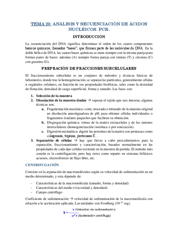 Miniatura del documento RESUMEN-T20.pdf