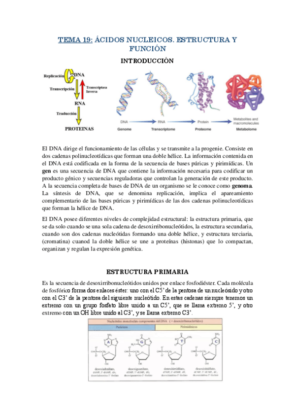 Miniatura del documento RESUMEN-T19.pdf