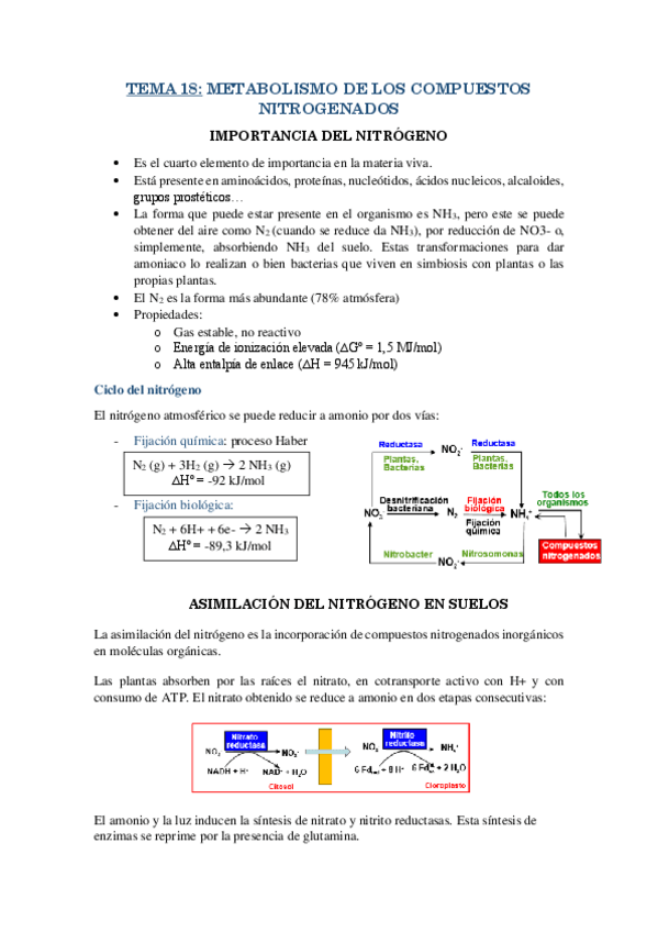 Miniatura del documento RESUMEN-T18.pdf