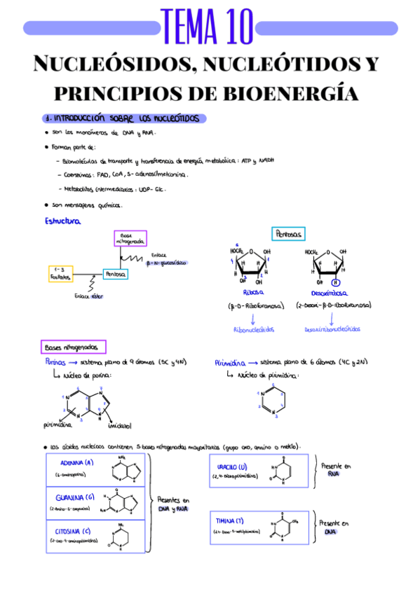 Miniatura del documento RESUMEN-T10.pdf