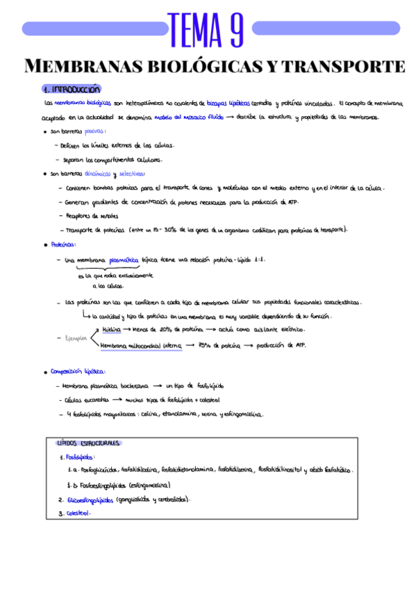 Miniatura del documento RESUMEN-T9.pdf