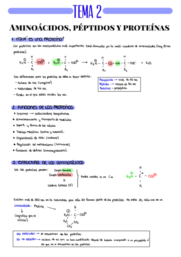 Miniatura del documento RESUMEN-T2.pdf