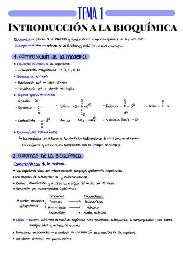 Miniatura del documento RESUMEN-T1.pdf