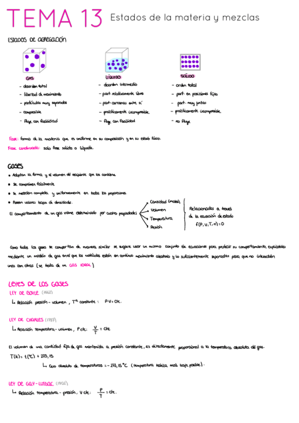 Miniatura del documento RESUMEN-T13.pdf