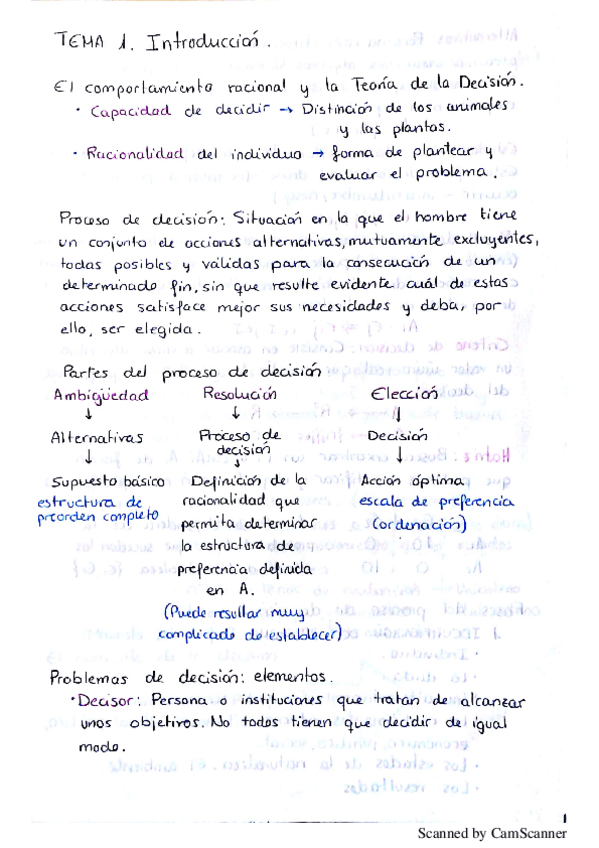 Miniatura del documento Tema 1 y 2 teoria Metodos de decision.pdf