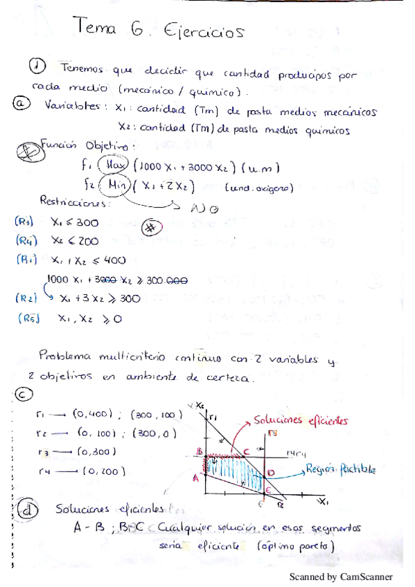 Miniatura del documento Ejerc. T6 Metodos de decision.pdf