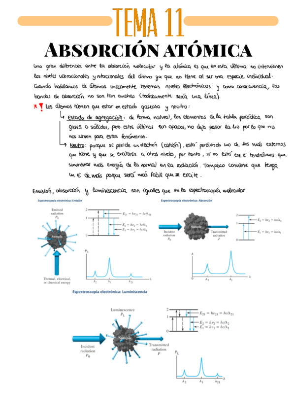 Miniatura del documento TEMA-11.pdf