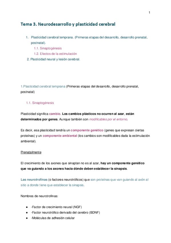 Miniatura del documento Tema-3.-Plasticidad-neuronal.pdf