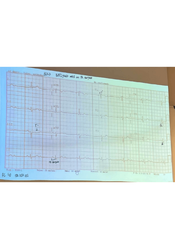 Miniatura del documento BRD-incompleto.pdf