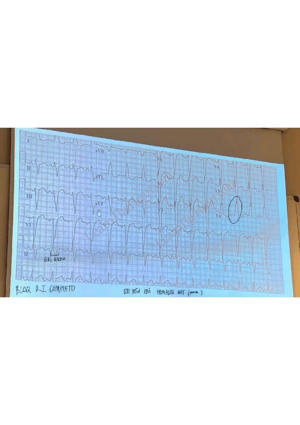 Miniatura del documento BRI-completo.pdf