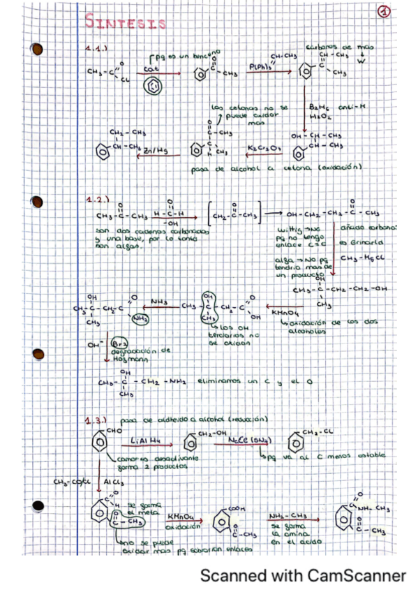 Miniatura del documento ejs-quimica-biomolecular-sintesis-guiada-curso-2324.pdf