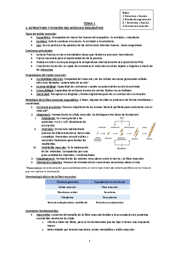 Miniatura del documento Tema 1 (Bloque 1) FISII.pdf