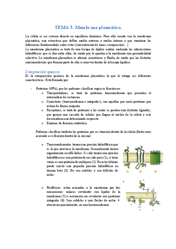 Miniatura del documento TEMA 3.pdf