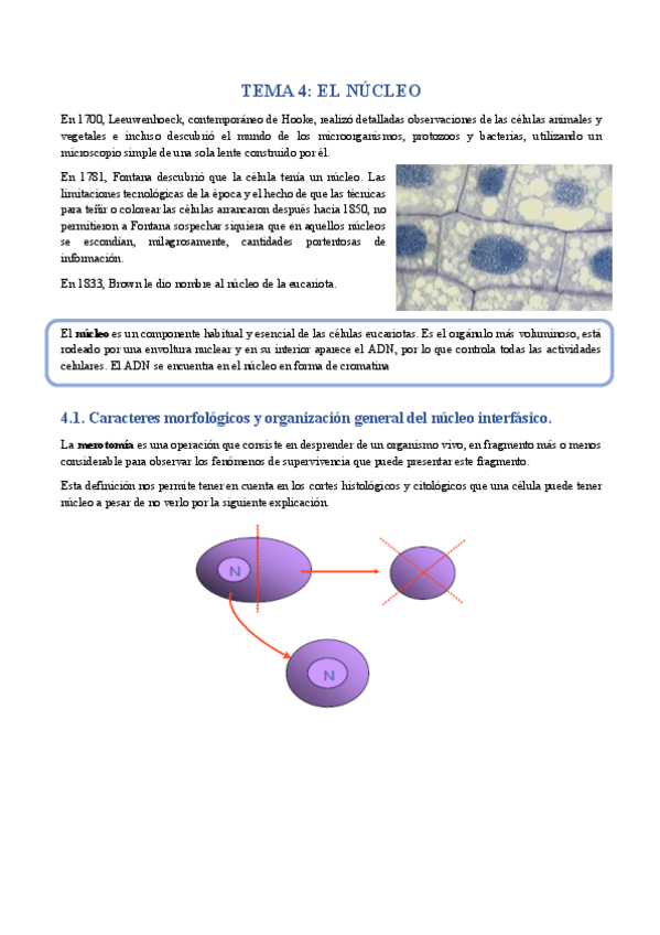 Miniatura del documento TEMA 4.pdf