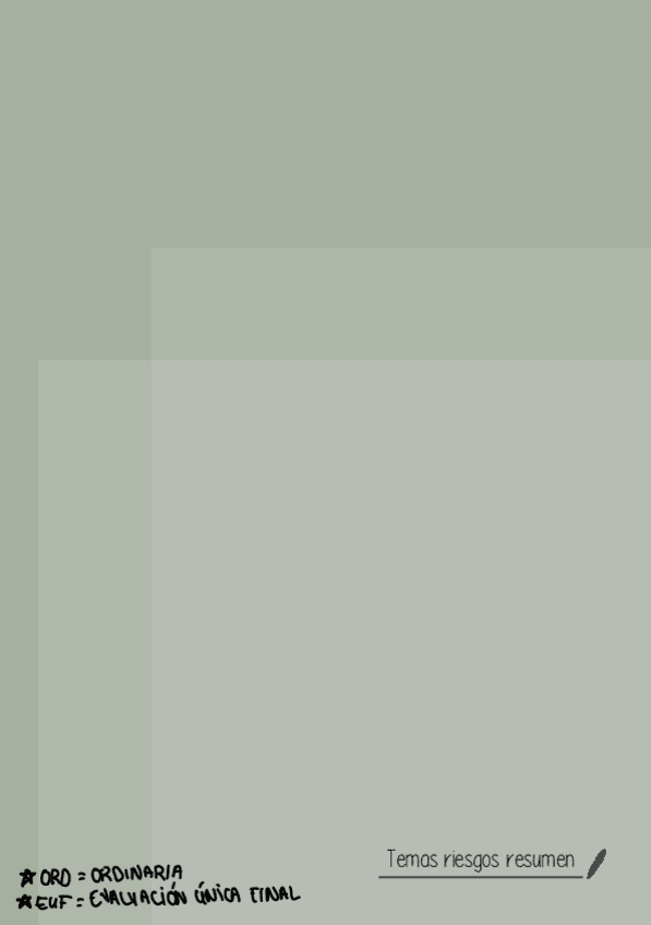 Miniatura del documento Resumen-Temas-Riesgos.pdf
