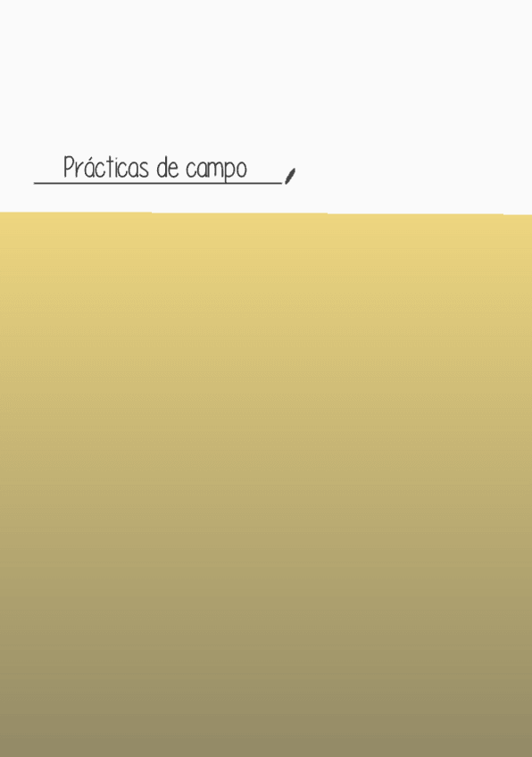 Miniatura del documento Practicas-de-Campo-Riesgos.pdf