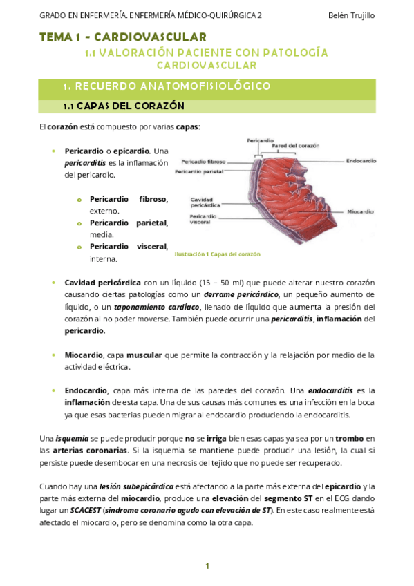 Miniatura del documento MQ2-Tema1-Cardiovascular-1ValoracionPacientePruebasComplementarias.pdf