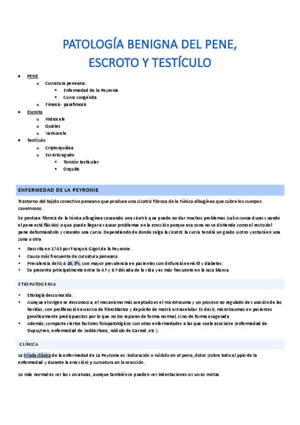 Miniatura del documento Patologia-benigna-del-pene-escroto-y-testiculo.pdf