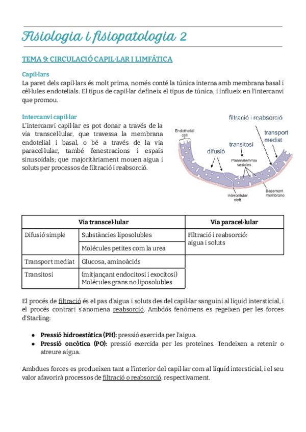 Miniatura del documento Tema-9.-Circulació-capil·lar-i-limfàtica.pdf