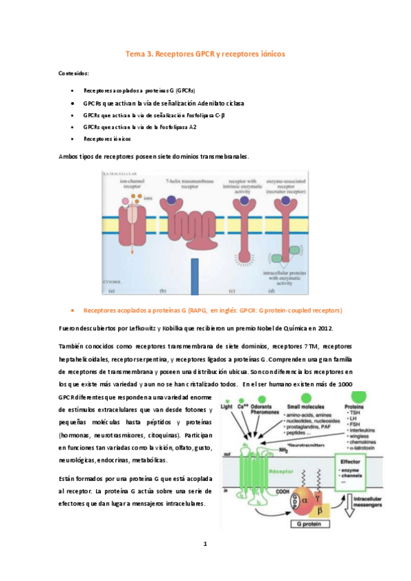 Miniatura del documento Tema 3 (pdf).pdf