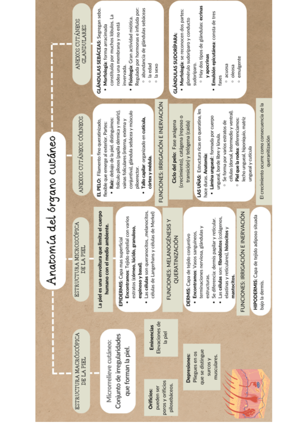Miniatura del documento Esquema-resumen-unidad-1.pdf