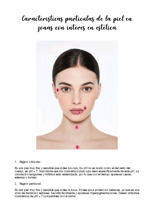 Miniatura del documento Esquema-resumen-de-las-principales-regiones-corporales.pdf