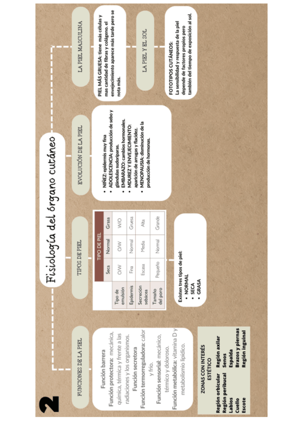 Miniatura del documento Esquema-resumen-unidad-2.pdf