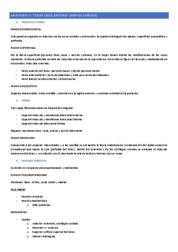 Miniatura del documento ANATOMIA-II-torax.pdf