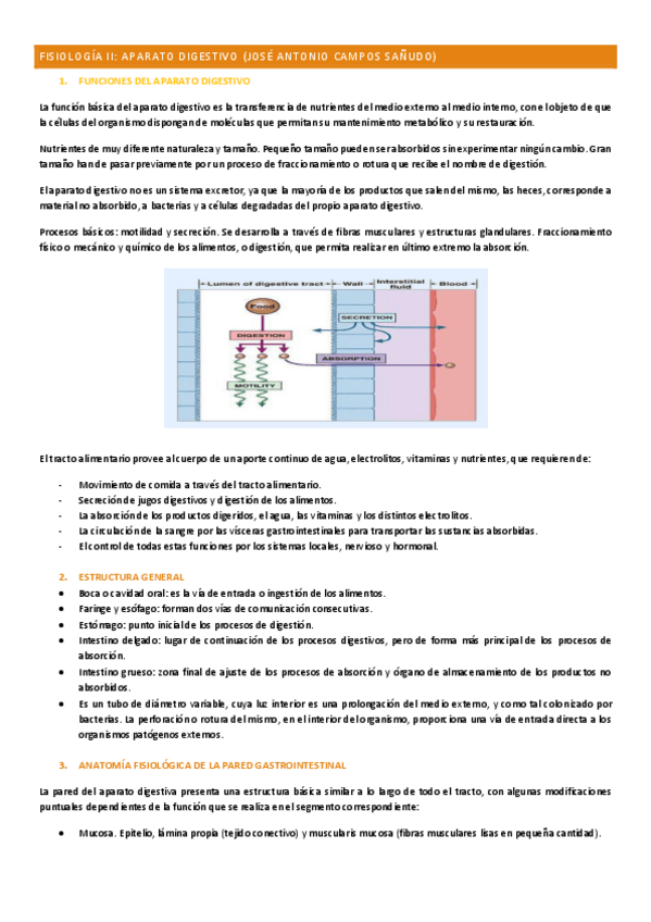 Miniatura del documento FISIOLOGIA-II-digestivo.pdf