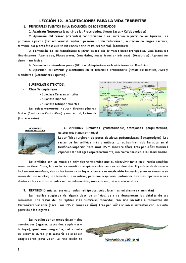 Miniatura del documento LECCION-12-ZOO.pdf
