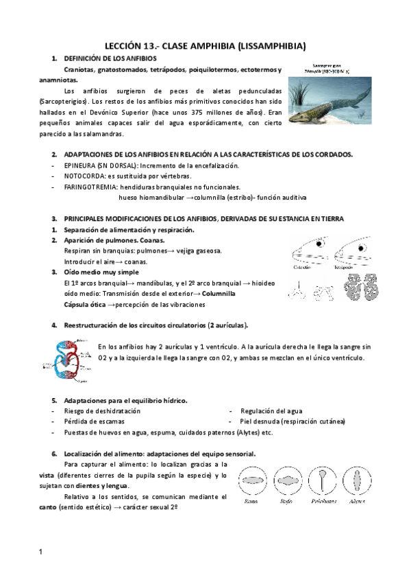 Miniatura del documento LECCION-13-ZOO.pdf