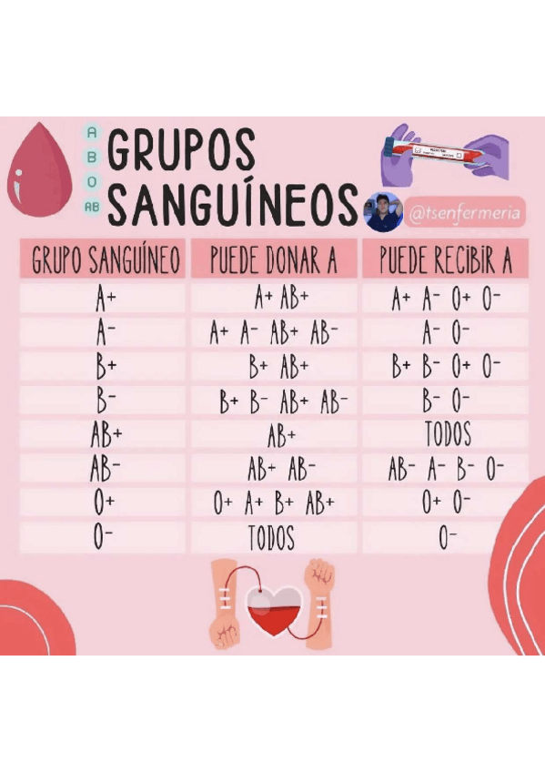 Miniatura del documento grupos-sang-esquema.pdf