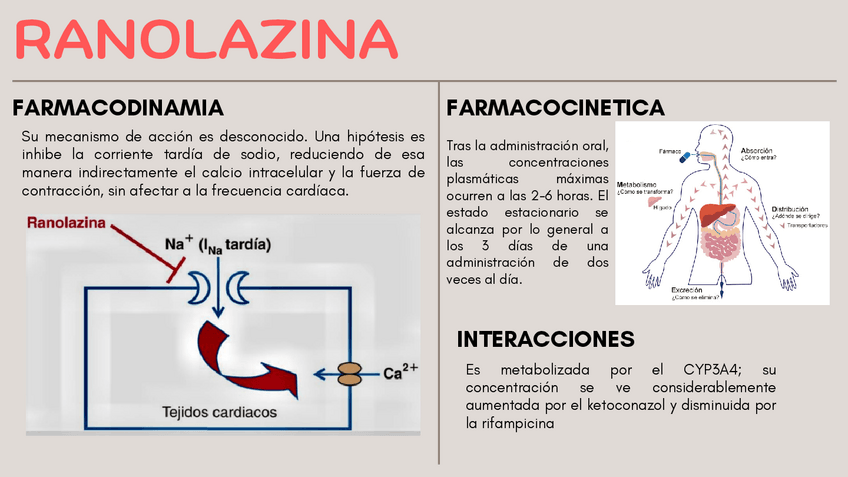 Miniatura del documento ANTIANGINOSOS.pdf