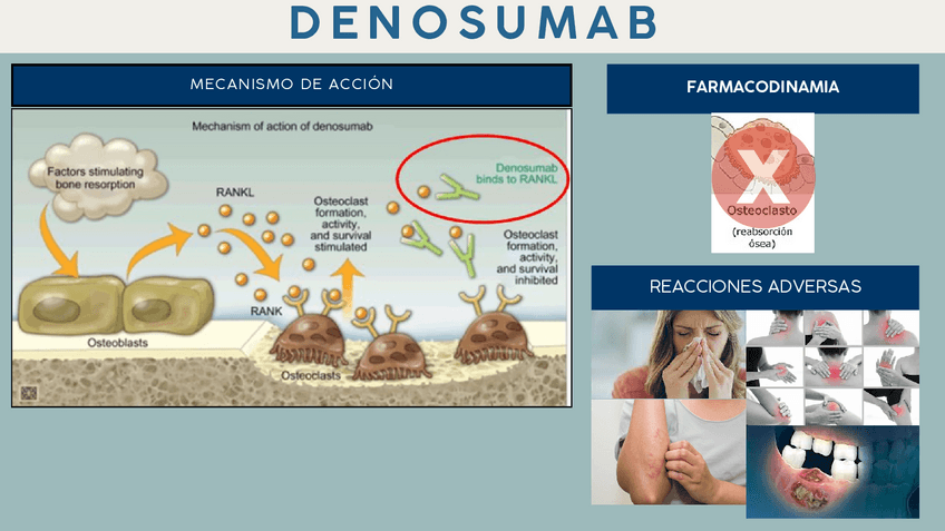 Miniatura del documento REGULADORES-OSEOS.pdf