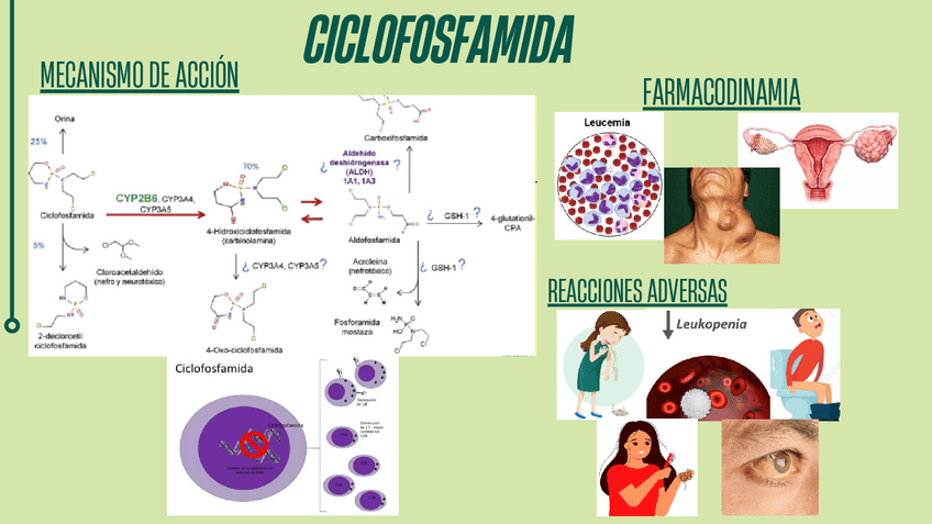 Miniatura del documento ANTINEOPLASICOS.pdf