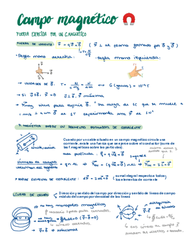 Miniatura del documento C.-magnetico-resumen.pdf