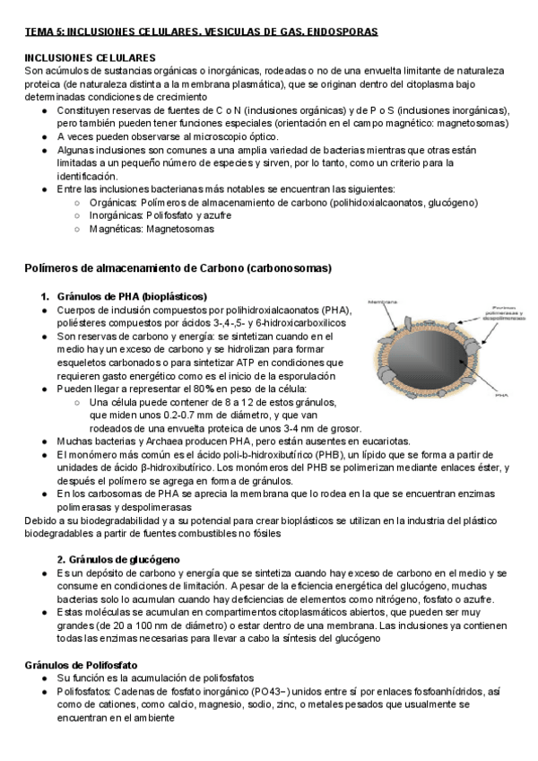 Miniatura del documento microbiologia-temas-567.pdf