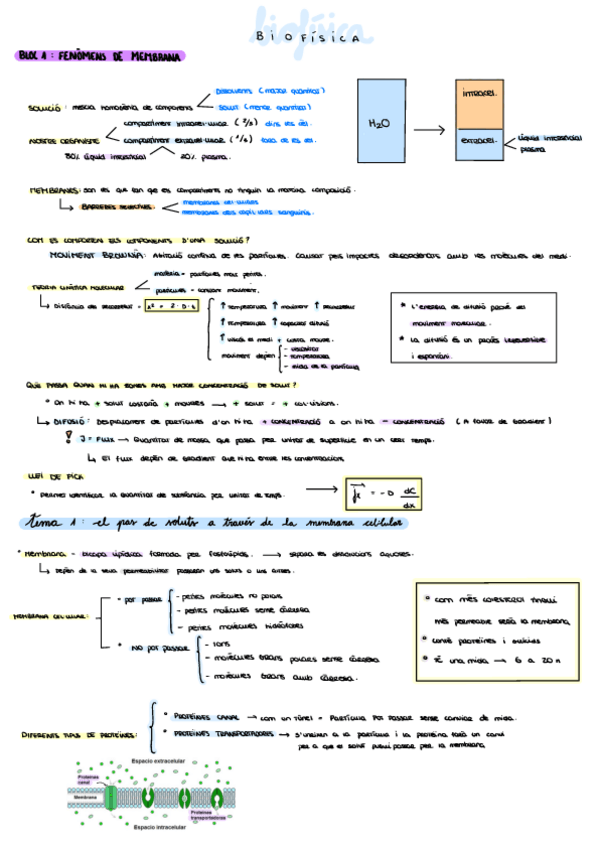 Miniatura del documento Biofisica-1.pdf