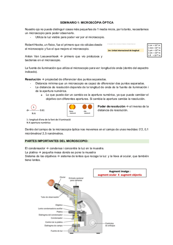 Miniatura del documento SEMINARIOS-BIOCEL.pdf